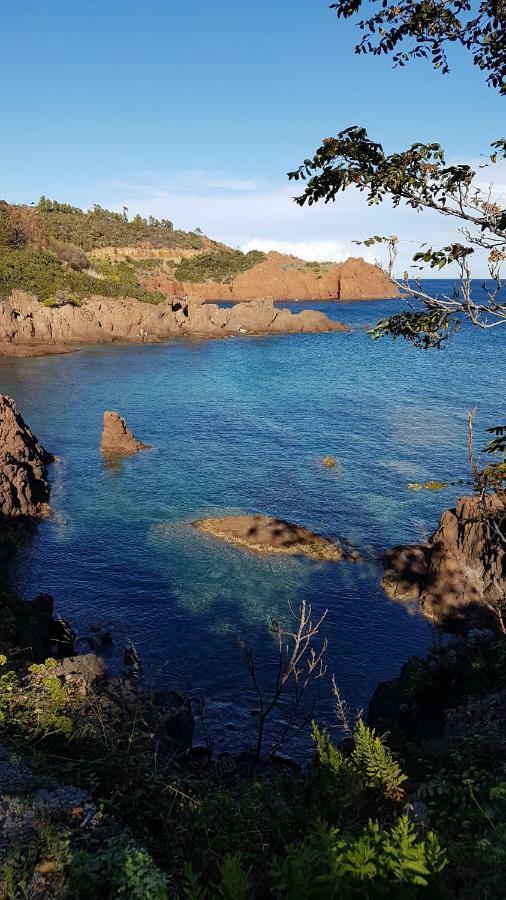 Saint Raphael - Appartement Dans Villa Au Calme A Valescure Y- Prix Inchanges エクステリア 写真